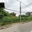  Land for sale in San Sai Chiang Mai, Nong Chom