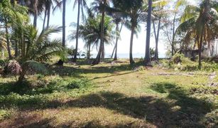 N/A Land for sale in Wichit, Phuket 