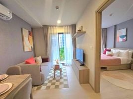 ขายคอนโด 1 ห้องนอน ในโครงการ เดอะ เบส ไรส์, วิชิต, เมืองภูเก็ต, ภูเก็ต, ไทย