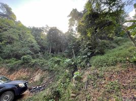  Land for sale in Maenam, Koh Samui, Maenam