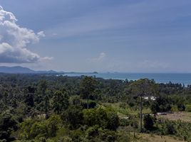  Grundstück zu verkaufen in Koh Samui, Surat Thani, Ang Thong, Koh Samui