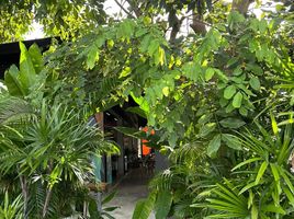 1 Bedroom Retail space for rent in Choeng Thale, Phuket, Choeng Thale, Thalang, Phuket