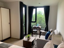 1 Bedroom Condo for rent at THE BASE Central Phuket, Wichit