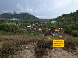  Land for sale in Bangkok Hospital Siriroj, Wichit, Kathu