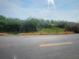  Land for sale in Lam Pla Thio, Lat Krabang, Lam Pla Thio