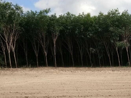  Grundstück zu verkaufen in Ban Khai, Rayong, Nong Lalok