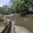  Land for sale in Laos, Paksxong, Champasak, Laos