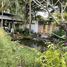 4 Schlafzimmer Haus zu vermieten in Hidden Village Chiang Mai, San Phisuea, San Phisuea