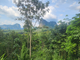 ขายที่ดิน ใน เมืองกระบี่ กระบี่, หนองทะเล