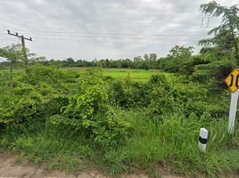  Land for sale in Don Chik, Phibun Mangsahan, Don Chik