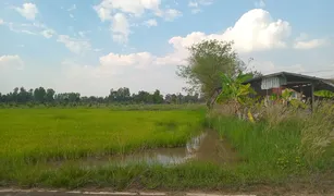 N/A Grundstück zu verkaufen in Nong Bua Hi, Ubon Ratchathani 