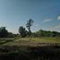  Land for sale in Surin, Kantuat Ramuan, Prasat, Surin