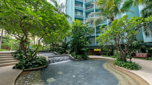 Photos 1 of the Communal Garden Area at Bangkok Garden