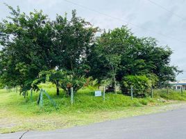  Land for sale in Costa Rica, Pococi, Limon, Costa Rica