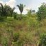  Land for sale in Pauini, Amazonas, Pauini