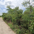  Land for sale in Mueang Surat Thani, Surat Thani, Khlong Chanak, Mueang Surat Thani