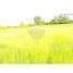  Land for sale at Eswarnagar Herga Village, Mundargi, Gadag, Karnataka