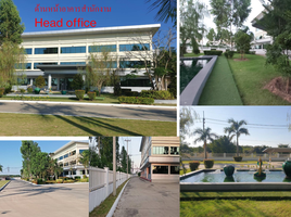 16 Bedroom Warehouse for sale in Chon Buri, Bo Kwang Thong, Bo Thong, Chon Buri