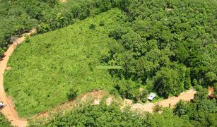 N/A Land for sale in Choeng Thale, Phuket 