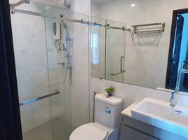 1 Bedroom Condo for rent at The Prio Signature Condo Chiangmai, Pa Daet, Mueang Chiang Mai