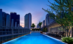 Photos 3 of the Communal Pool at Somerset Maison Asoke Bangkok