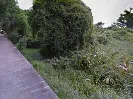  Land for sale in Nonthaburi, Ko Kret, Pak Kret, Nonthaburi