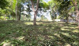 N/A Land for sale in Mai Khao, Phuket 
