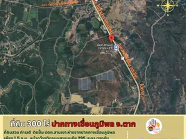  Land for sale in Wang Man, Tak, Wang Man, Sam Ngao, Tak