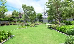 Фото 3 of the Communal Garden Area at EDGE Central Pattaya