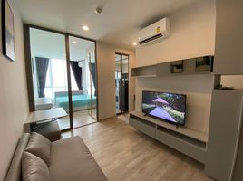 1 Bedroom Apartment for rent at Niche Pride Taopoon-Interchange, Bang Sue, Bang Sue