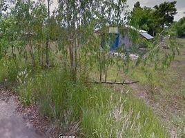  Land for sale in Tha Sa-At, Seka, Tha Sa-At