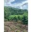  Land for sale in Jalisco, Puerto Vallarta, Jalisco