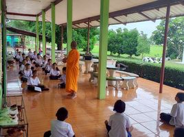 ขายที่ดิน ใน หนองไผ่ เพชรบูรณ์, บัววัฒนา, หนองไผ่