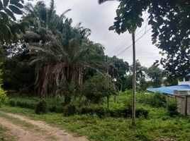  Land for sale in Mueang Chiang Mai, Chiang Mai, Chang Phueak, Mueang Chiang Mai