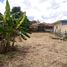  Land for sale in Chiang Rai, Bua Sali, Mae Lao, Chiang Rai