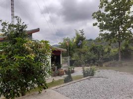 4 Schlafzimmer Villa zu verkaufen in Tha Li, Loei, Tha Li, Loei