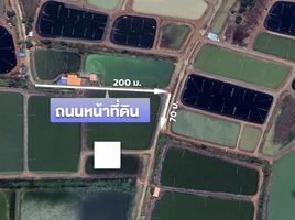 ขายที่ดิน ใน บางน้ำเปรี้ยว ฉะเชิงเทรา, บางขนาก, บางน้ำเปรี้ยว, ฉะเชิงเทรา