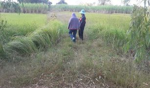 N/A Land for sale in Sawathi, Khon Kaen 