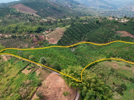  Land for sale in Caldas, Palestina, Caldas