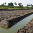  Grundstück zu verkaufen in Sam Phran, Nakhon Pathom, Khlong Mai