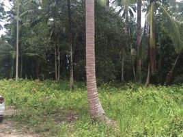  Land for sale in Koh Samui, Lipa Noi, Koh Samui
