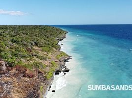  Land for sale in Sumba Barat East Nusa Tenggara, Kodi, Sumba Barat, East Nusa Tenggara, Indonesia