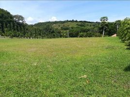  Grundstück zu verkaufen in San Carlos, Panama Oeste, El Espino, San Carlos, Panama Oeste, Panama