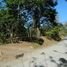  Land for sale in Mora San Jose, Mora, San Jose