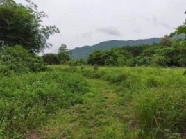  Land for sale in Mae O, Phan, Mae O