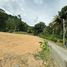  Land for sale in Patong, Phuket, Patong
