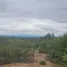  Land for sale in Argentina, General Guemes, Salta, Argentina