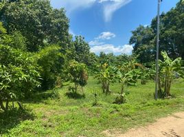  Land for sale in Samran Rat, Doi Saket, Samran Rat