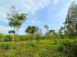  Grundstück zu verkaufen in Khao Saming, Trat, Wang Takhian, Khao Saming, Trat