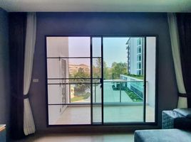 1 Bedroom Condo for rent at Touch Hill Place Elegant, Chang Phueak, Mueang Chiang Mai, Chiang Mai, Thailand